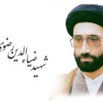آغا شہید سید ضیاءالدین رضویؒ، گلگت بلتستان کی سیاسی و دینی جدوجہد کے رہنما