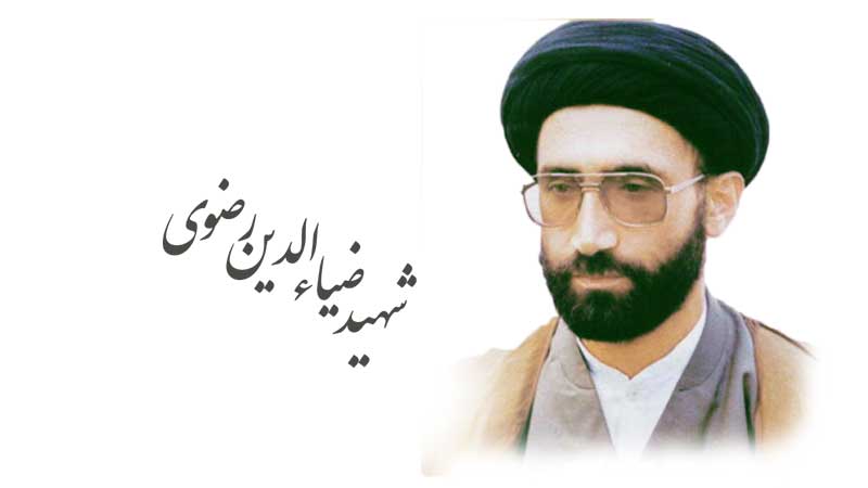 آغا شہید سید ضیاءالدین رضویؒ، گلگت بلتستان کی سیاسی و دینی جدوجہد کے رہنما