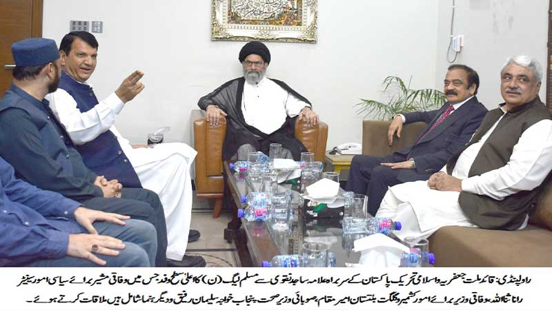 مسلم لیگ ن کے وفد کی اسلامی تحریک پاکستان کے سربراہ سے ملاقات